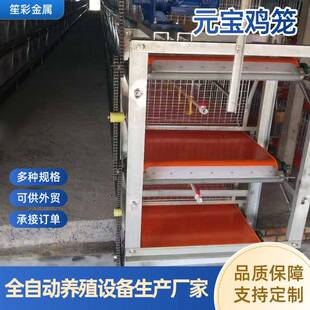 三四层立式自动化元宝肉鸡笼农场鸡舍养鸡蛋鸡笼子养殖畜牧设备