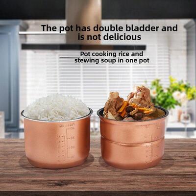 飞路Cysb60A501-100E智能双加仑456L多功能真压压力锅