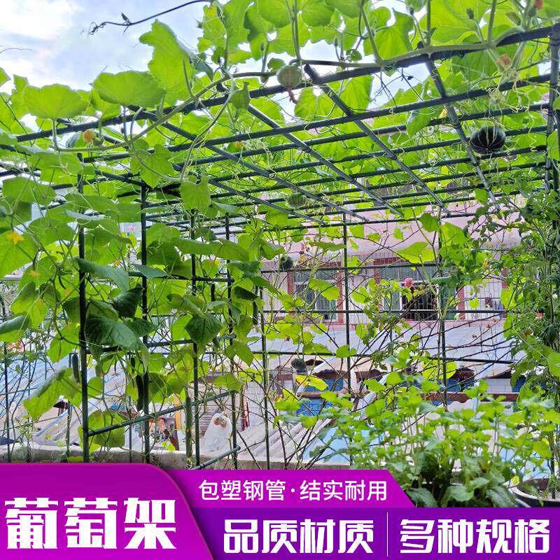 葡萄架子庭院户外葫芦爬藤架丝瓜百香果爬藤支架室外植物支撑杆网