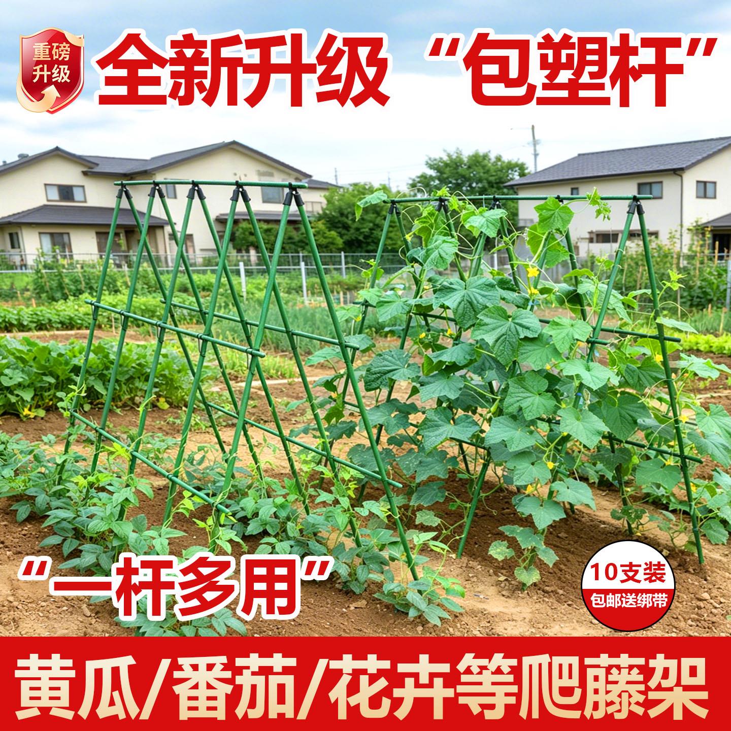 黄瓜爬藤架豆角架杆楼顶种菜架子菜园种菜架子丝瓜蔬菜种植架家用