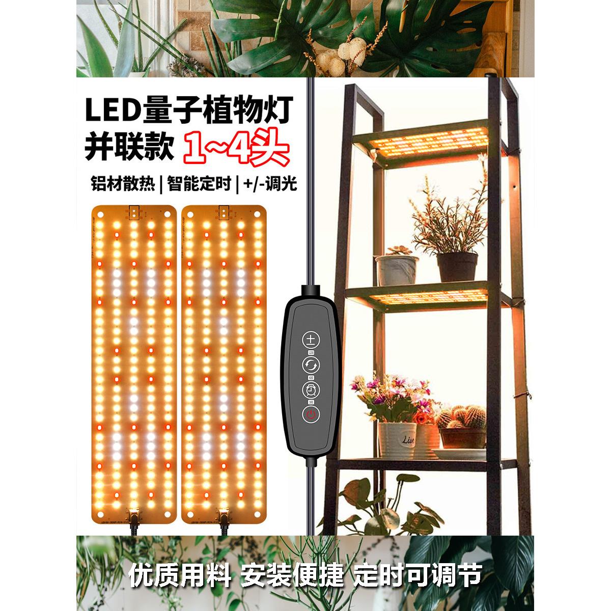 24新花亭植物补光板彩苗栽培助生长高产多肉绿色水培植物