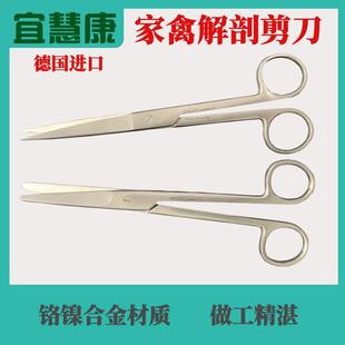 家禽解剖剪刀鸡鸭鹅等禽类用解剖剪刀兽医用解剖剪实验室用剪刀