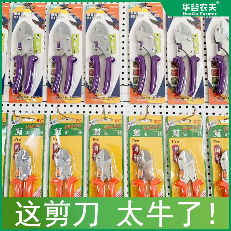 剪刀修枝剪剪树枝专用剪刀修剪树枝剪刀修枝剪园艺剪刀园林剪刀