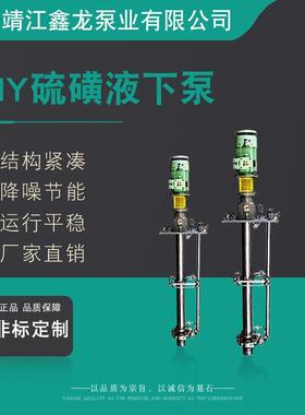 鑫龙LHY型立式保温硫磺液下泵（液硫泵）厂家可定制