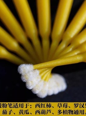 授粉笔罗汉果人工授粉工具西红柿黄瓜西瓜多肉点花授粉刷棒神器