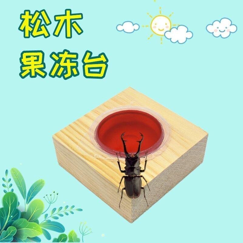 仿木质甲虫独角仙成虫专用果冻台塑料16G通用独角仙锹甲兜虫促销