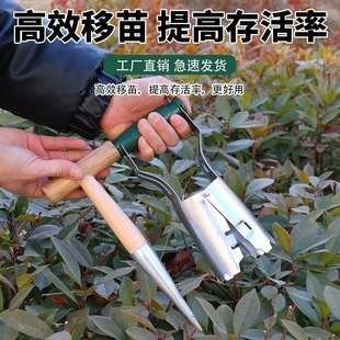 种菜播种打孔器打洞工具尖头园艺花园泥土移栽苗神器小铲追肥育苗