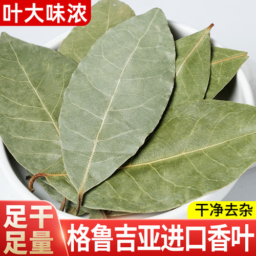 精选香叶新货250g无硫月桂叶香料