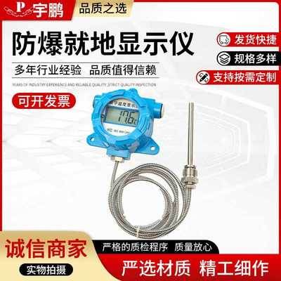 高精度防爆式就地温度显示仪PT100防爆型数显温度计防水工业仪表