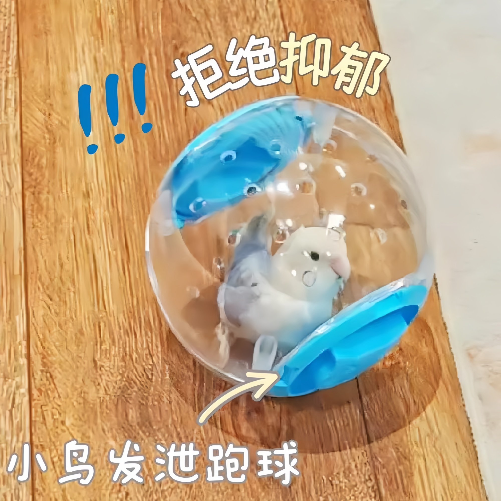 鹦鹉玩具跑球虎皮牡丹解闷自嗨滚球鹦鹉飞碟啃咬转盘鸟玩具大全