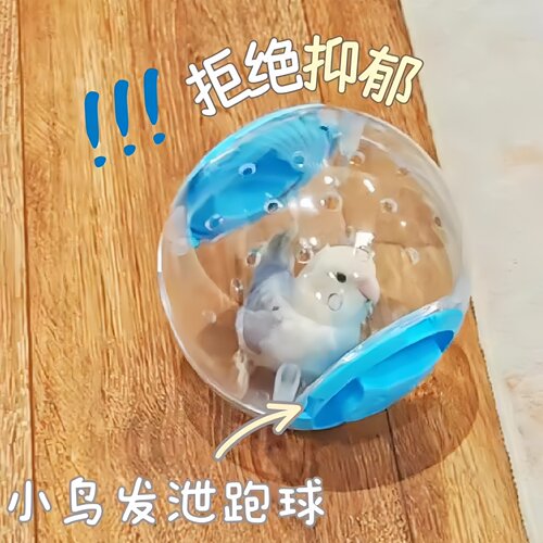 鹦鹉玩具跑球虎皮牡丹解闷自嗨滚球鹦鹉飞碟啃咬转盘鸟玩具大全