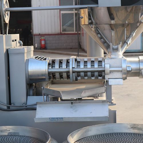 乐发 商用全自动花生炸油机 冷热榨多种原料 精炼设备120型榨油机