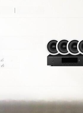 惠威VX5-C/VX6-C/VX8-C吸顶音响天花喇叭嵌入式吊顶背景音乐箱