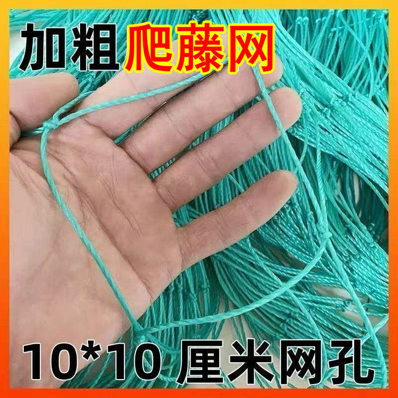 爬藤网植物花卉瓜果丝瓜苦瓜吊瓜葡萄瓜蒌豆角防倒伏网攀爬网