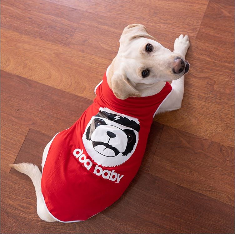 金毛大狗狗衣服拉布拉多萨摩耶柴犬边牧春夏装中型大型犬春秋薄款