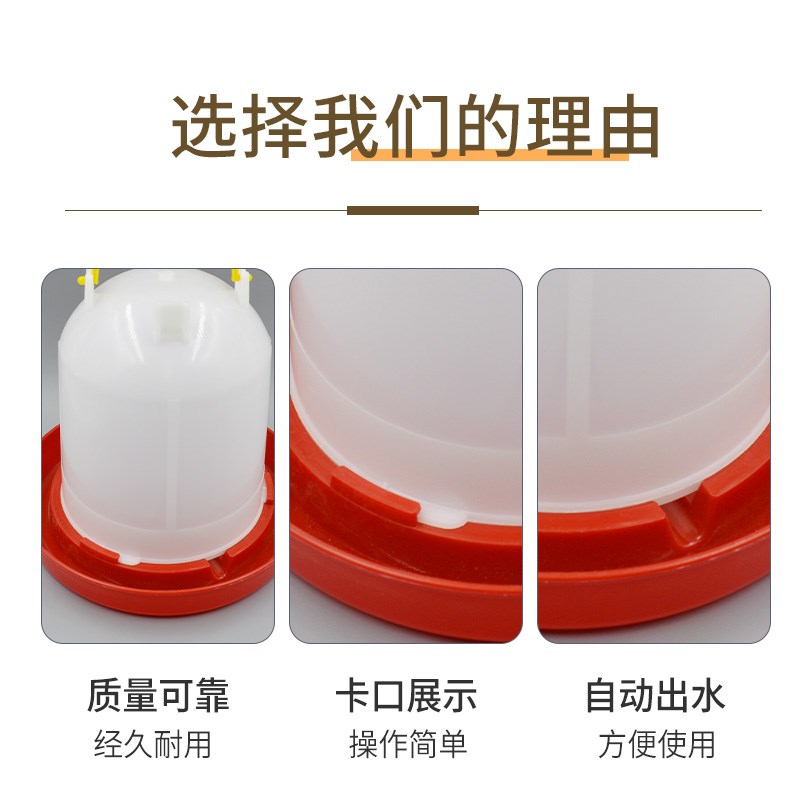 小鸡喝水饮水器芦丁鸡神器鸽子饲料自动喂食器鸡用喂水器喂鸡食槽