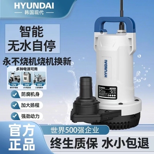 韩国现代抽水泵12V24V48V60V72V潜水泵直流电瓶车农用灌溉抽水机