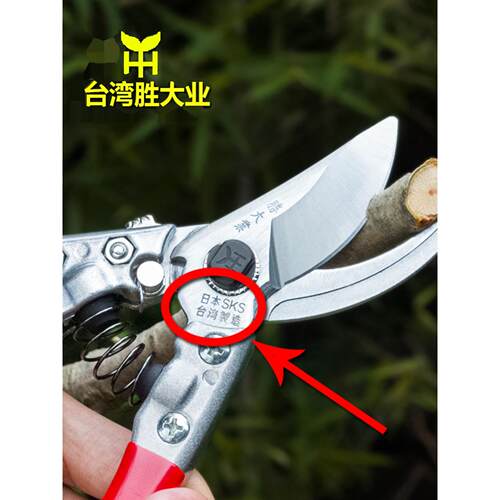 台湾进口剪枝剪刀园艺花剪刀厚枝果树剪枝省力剪刀园艺剪枝剪枝剪
