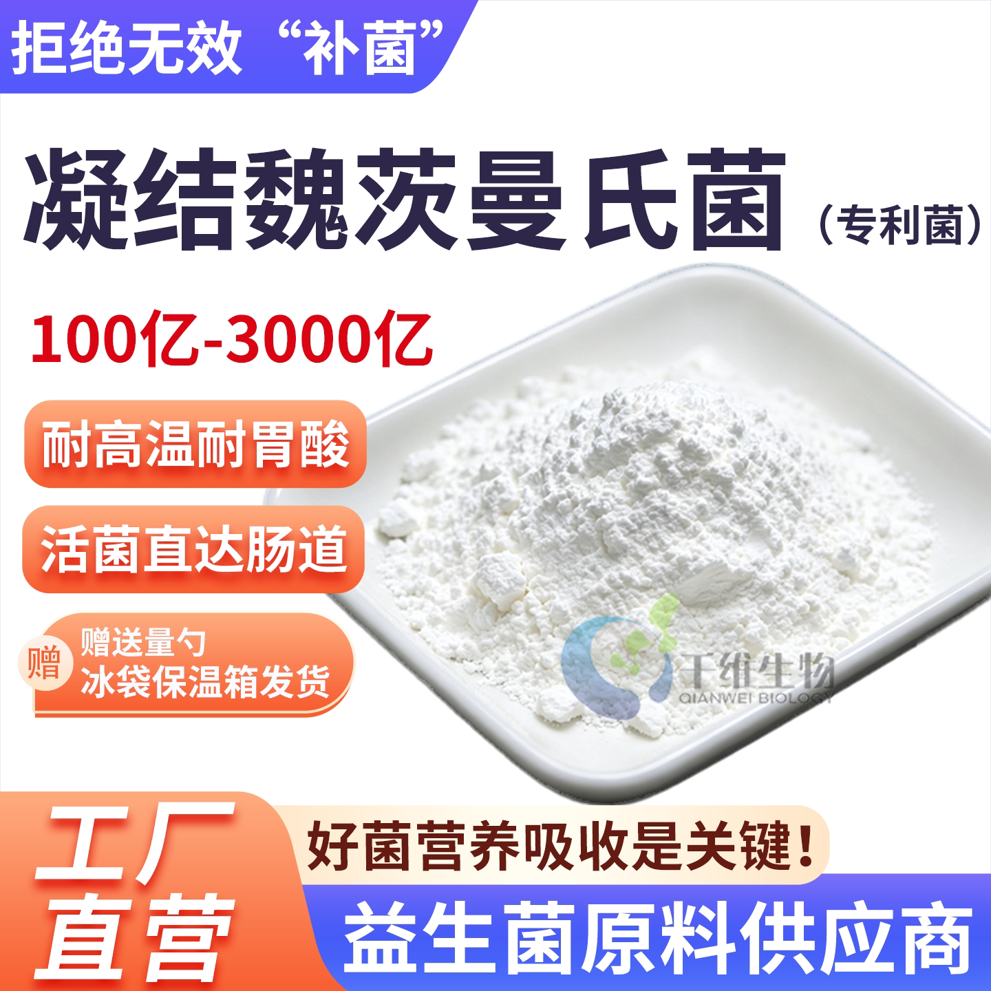 凝结魏茨曼氏菌3000亿高活性益生菌粉发酵乳酸菌冻干型食品级原料