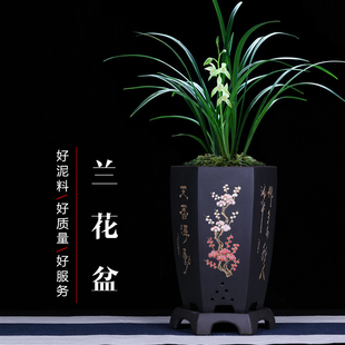 精品兰花花盆宜兴手工紫砂陶瓷盆君子兰绿萝蕙兰吊兰盆室内花卉