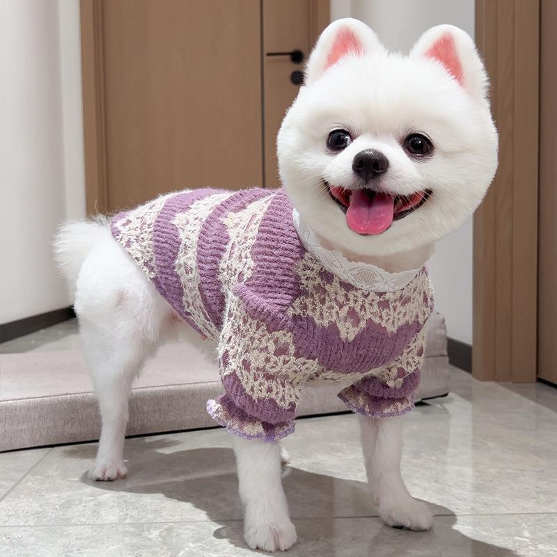 宠物狗狗猫咪衣服饰秋冬款蕾丝加绒宠物打底衫蕾丝宫廷风跨境泰迪