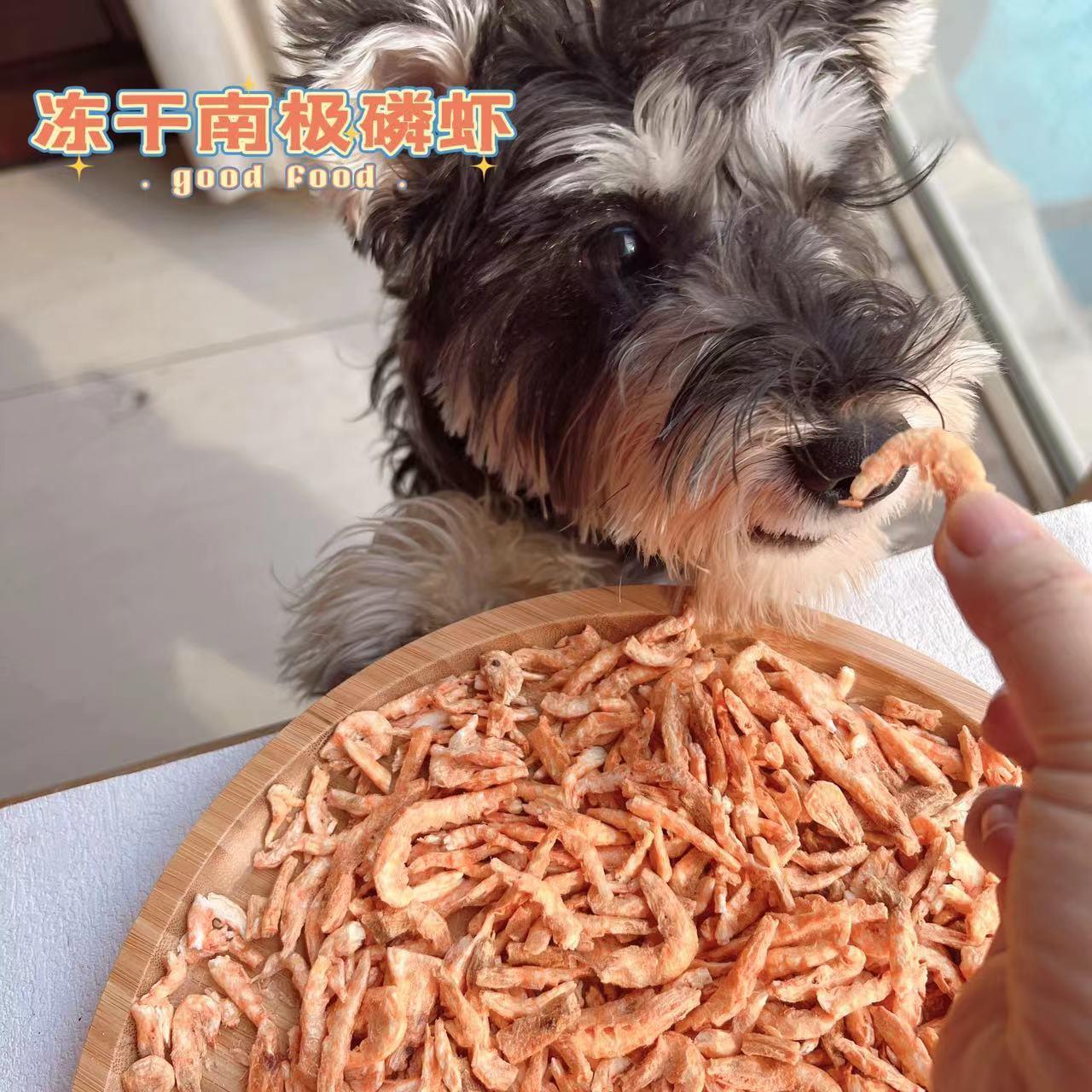 狗零食狗冻干海鲜磷虾狗狗冻干零食冻干扇贝蛏子猫咪零食海鲜冻干