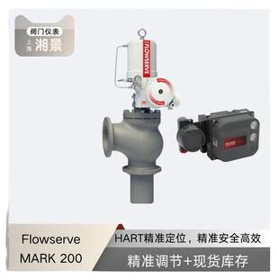 FLOWSERVEMARK 200调节阀搭配FisherDVC6200电气阀门定位器