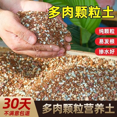 多肉土专用颗粒营养土植物进口泥炭种植土铺面石叶插纯颗粒虹彩石
