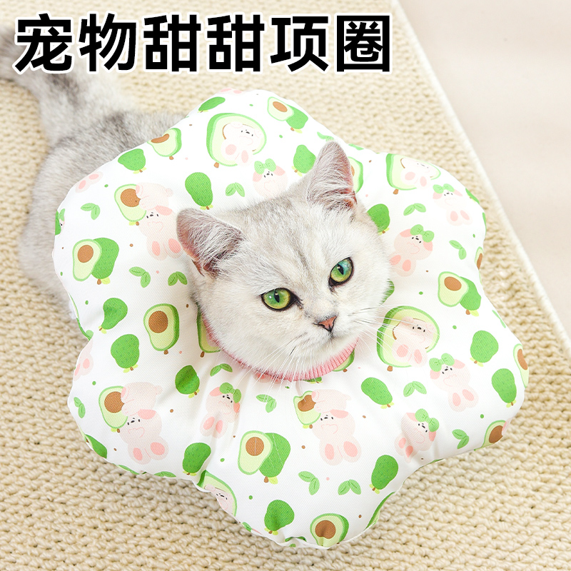 伊丽莎白圈猫绝育项防咬舔