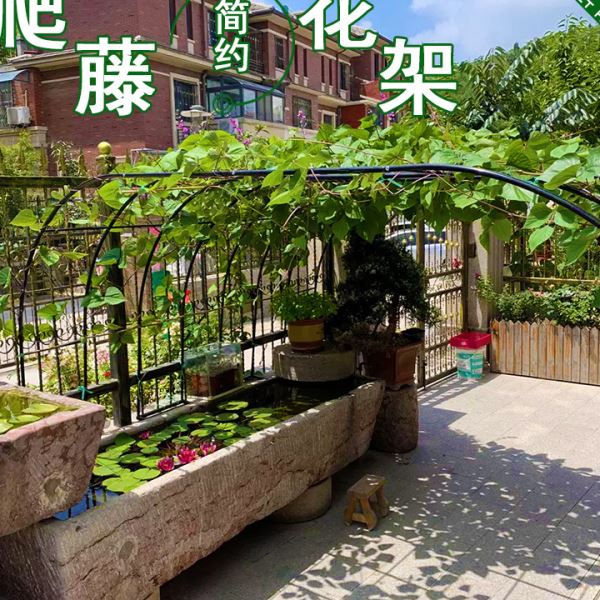 爬藤架子拱门形支架铁艺花架庭院装饰户外花园月季紫藤绿萝葡萄架