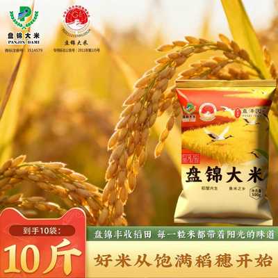【盘泽圆】2025年新米上市盘锦大米1斤装农家自产好米从饱满稻穗
