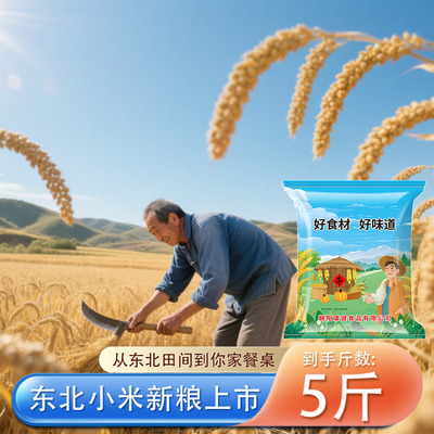 2024年新黄小米5斤装农家自产老少皆宜源头厂家直发2.5kg