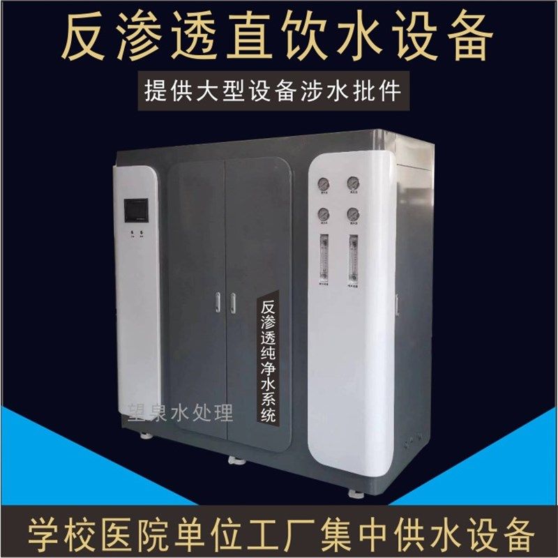 封闭机柜纯水设备商业商务纯净水直饮水机0.5吨净水机反渗透设备