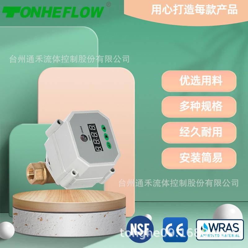 黄铜供应净水器智能定时自动电子排水阀DN10