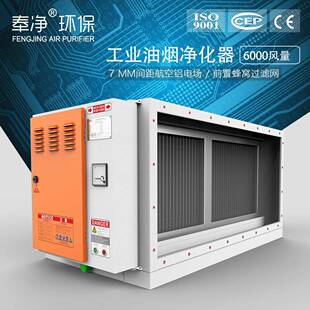 油烟净化器厨房静电低空排放餐饮油烟净化器6000风量高效