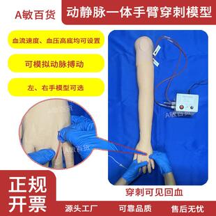 动静脉一体穿刺手臂模型输液注射桡动脉内瘘穿刺留置针打针抽血