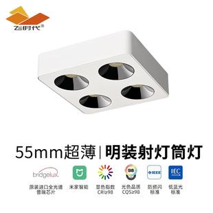 射灯客厅卧室斗胆灯蜂窝深防眩四头吸顶筒灯 飞时代全光谱超薄明装