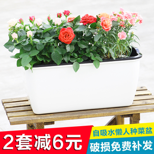 家庭长方形阳台种菜花盆室外蔬菜种植庭院花槽懒人自吸水塑料花盆