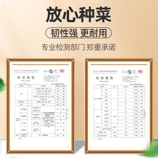种菜专用盆自吸水家用阳台种菜盆加大加厚长方形塑料蔬菜种植花盆