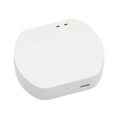 无线网关Zigbee3.0智能家居中控系统远程APP控制定时延时语音网关