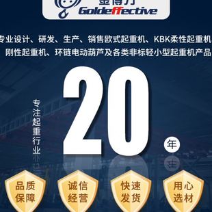 35吨环链电动葫芦锰钢链条固定运行鬼头电动葫芦 250kg