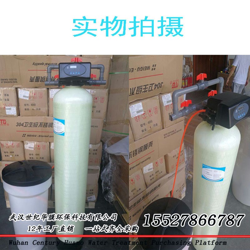 武汉1-50吨软化去离子水处理RO反渗透超纯水双级EDI净水设备厂GMP