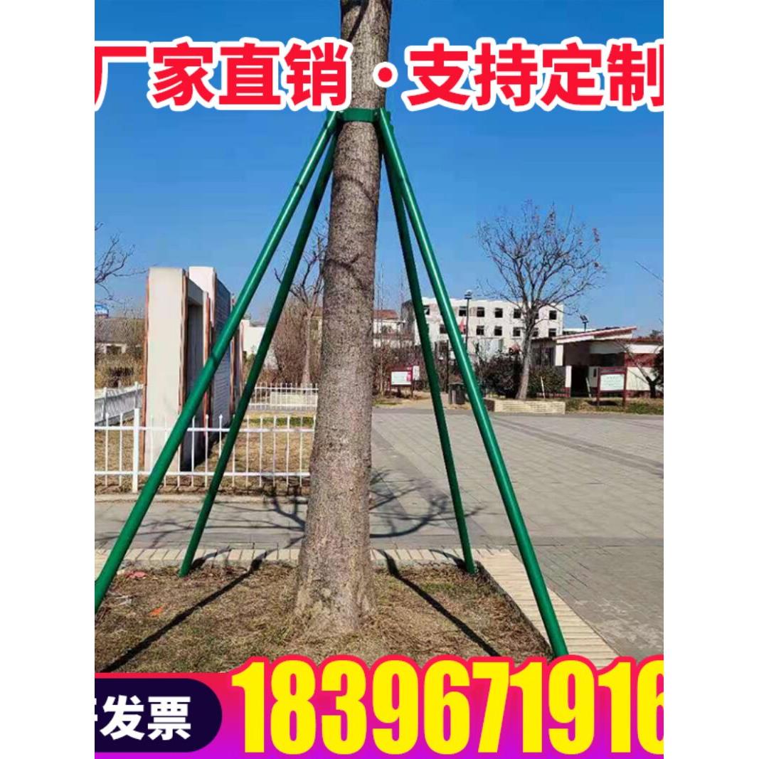 树木支撑固定器防风绿化园林支架卡箍加厚镀锌钢管支撑杆大树撑杆