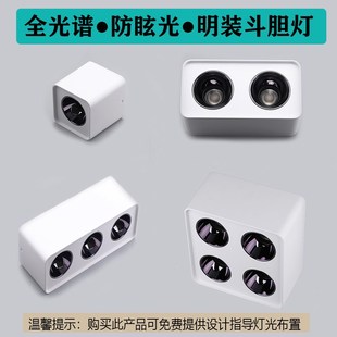 斗胆灯餐厅客厅无主灯明装 低蓝光全光谱防眩LED明装 斗胆灯双头