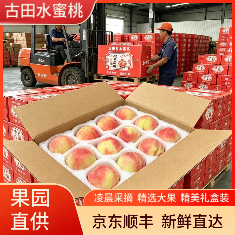 福建古田水蜜桃白凤桃脆甜大桃子当季孕妇新鲜水果5斤10斤精品装