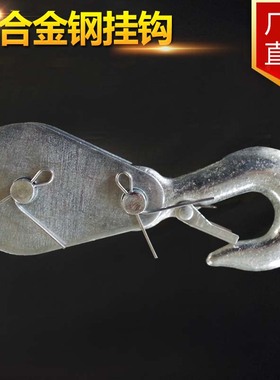 pa800快速微型电动葫芦 家用小型起重机小吊机卷帘机220v电动葫芦