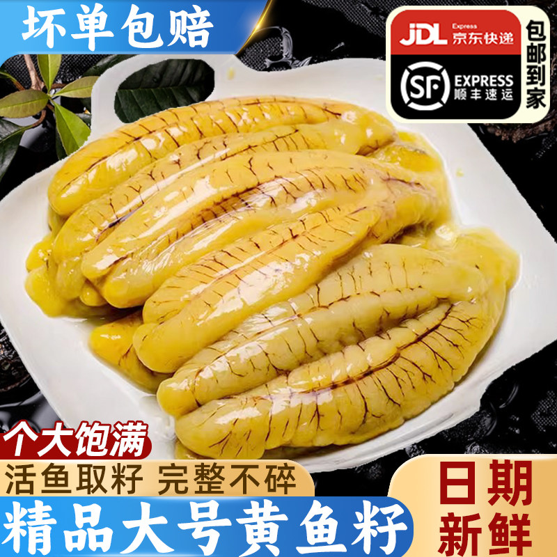 精品大号黄花鱼籽新鲜冷冻