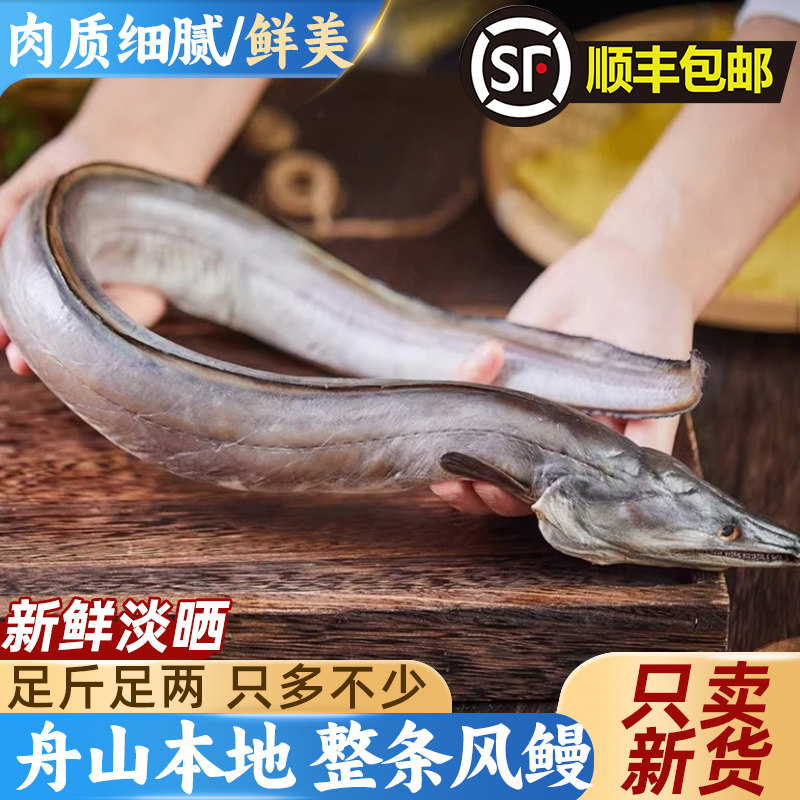 风鳗筒整条舟山特产海鳗鱼干东海大风鳗鱼筒鳗鱼鲞淡晒海鲜干货,水产肉类/新鲜蔬果/熟食,鳗鱼,淘宝优惠券,粉丝福利购,淘宝优惠卷