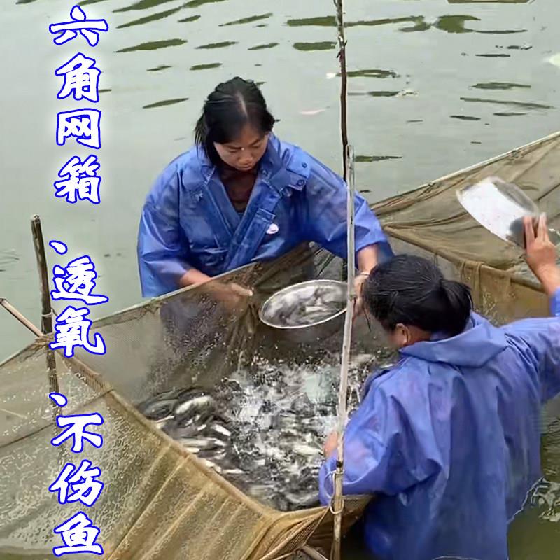 白色聚酯纤维尼龙网箱鱼箱六角边水产养殖专用鱼池网柔软不伤鱼苗