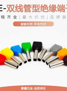 针形双线TE0508/7508/1008/2508欧式冷压铜线耳并线管型接线端子
